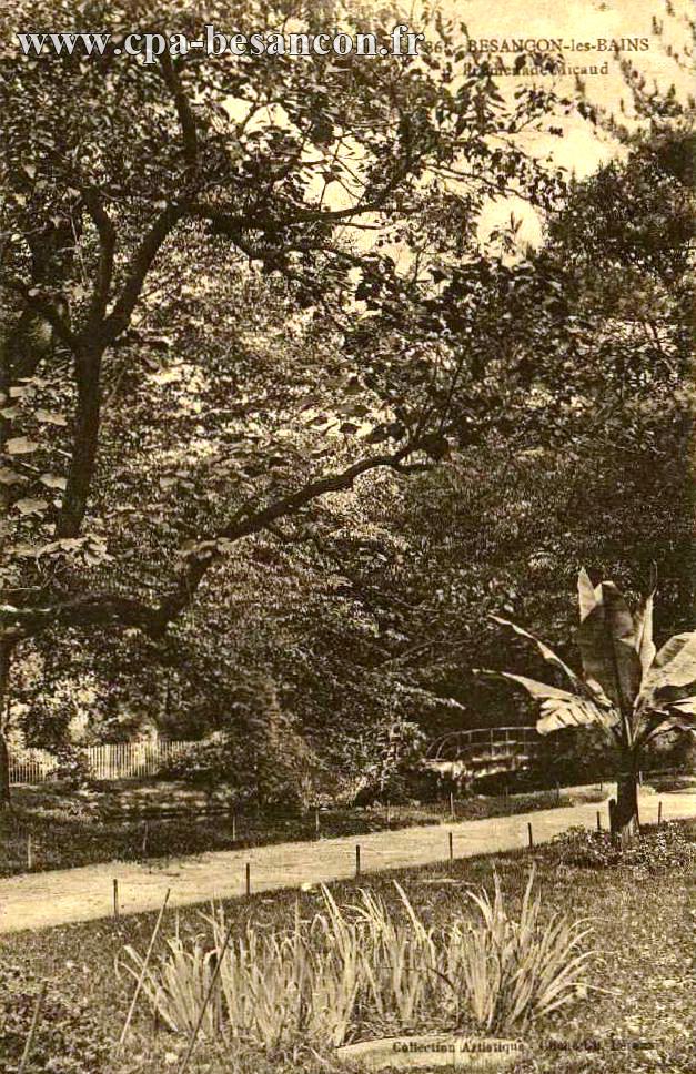 86. - BESANÇON-les-BAINS - Promenade Micaud